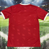 25-26 ARS Red Special Edition Fans Training shirts (三叶)