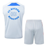 25-26 Bayern Grey Tank top and shorts suit #D25114
