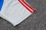 25-26 Bayern Grey Short shirts and Long trousers Suit #C2547