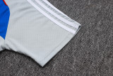 25-26 Bayern Grey Training Short Suit #D25128