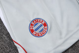 25-26 Bayern Grey Training Short Suit #D25128