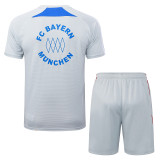25-26 Bayern Grey Training Short Suit #D25128