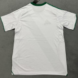 25-26 Al-Ahli Saudi Home Fans Soccer Jersey