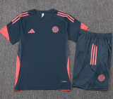 25-26 Bayern Dark gray Training Short Suit #D25169