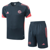 25-26 Bayern Dark gray Training Short Suit #D25169