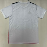 25-26 Benfica Red White Special Edition Training shirts