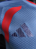 26-27 Japan Grey Player Version Training shirts