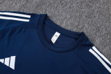 25-26 AL-Nassr Royal blue Training Short Suit #D25199