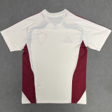 25-26 LIV Beige Red Fans Training shirts