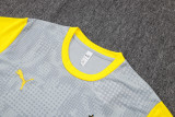 25-26 Dortmund Light gray Training Short Suit #D25212