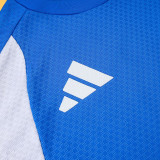 25-26 AD Fancy blue Player Version Training Short Suit (球员短套装)#D2505