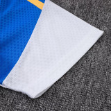 25-26 AD Fancy blue Player Version Training Short Suit (球员短套装)#D2505
