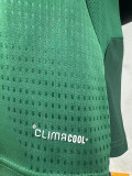 26-27 Mexico Green Player Version Training shirts