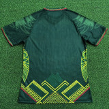26-27 Mali Away Player Version Soccer Jersey (鹰图)