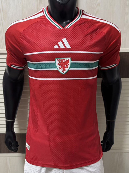 26-27 Wales Home Player Version Soccer Jersey