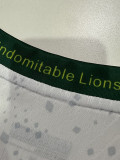 26-27 Cameroon Away Player Version Soccer Jersey