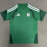 26-27 Mexico Green Fans Training shirts
