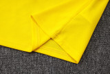 25-26 Brazil Yellow Training Short Suit #D25254