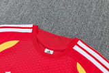 26-27 Germany Red Training Short Suit