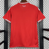 26-27 Wales Home Fans Soccer Jersey