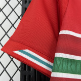 26-27 Wales Home Fans Soccer Jersey