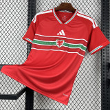 26-27 Wales Home Fans Soccer Jersey