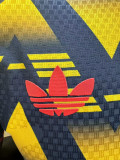 25-26 ARS Blue Yellow Special Edition Player Version Training Shirts