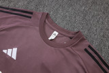 25-26 RMA Gray Purple Training Short Suit #D25279