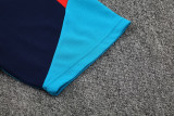 26-27 Spain Royal blue Training Short Suit