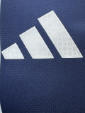 26-27 Scotland Blue Special Editio Player Version Training shirts