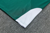 26-27 Italy Green Training Short Suit