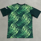 26-27 Mexico Green Fans Training shirts