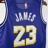 25-26 Lakers JAMES #23 Purple Top Quality Hot Pressing NBA Jersey (Trapeze Edition) 飞人版