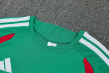 26-27 Algeria Green Training Short Suit