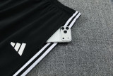 2026 AD Gray Jacket Tracksuit #2321