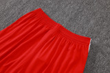 26-27 Internacional Red Training Short Suit #J26015