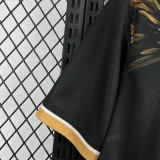 25-26 Benfica Black Yellow Special Edition Fans Soccer Jersey