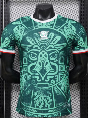 26-27 Mexico Green Special Edition Player Version Training shirts (逗号)