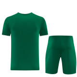 2026 AD13 Green Training Short Suit