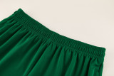 2026 AD13 Green Training Short Suit