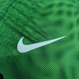 2026 Nigeria Green Walkout Jacket (Hooded) #单上衣