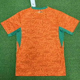26-27 Ivory Coast Home Fans Soccer Jersey