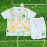 26-27 Ivory Coast Away Kids Soccer Jersey