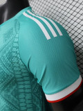 26-27 Algeria Green Special Edition Player Version Training shirts