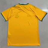 26-27 Flamengo Yellow Special Edition Fans Soccer Jersey