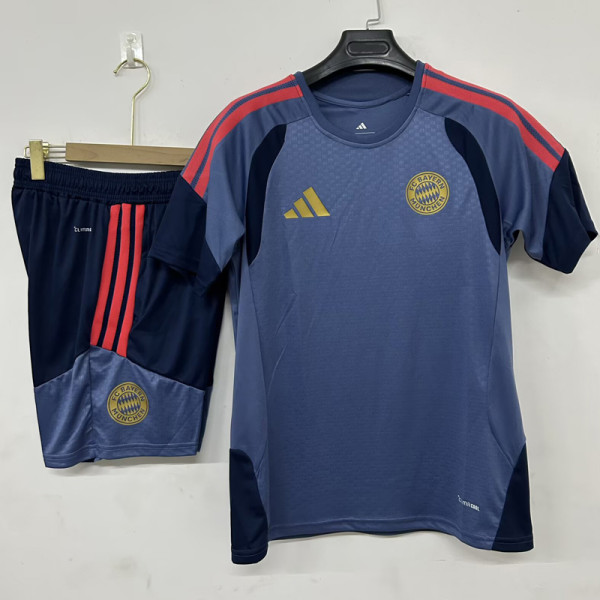 26-27 Bayern Gray Training Short Suit