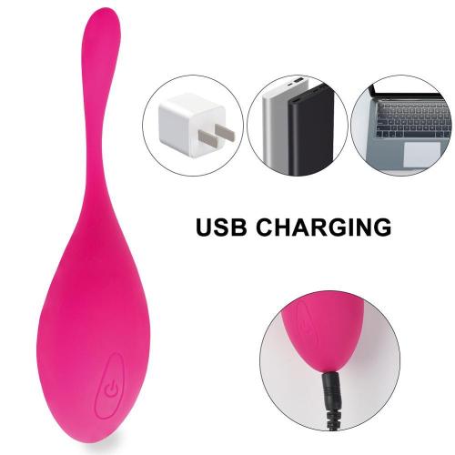 LEVETT Upgraded Wireless Egg Vibrators For Women IPX7 Waterproof Vaginal Kegel Ball Vibrating Bullet Vibrate Stimulator Sex Toys