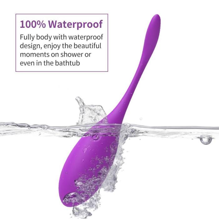 Wireless Remote Vibrator Vibrating Egg Bullet Vaginal Kegel Exercise Balls G Spot Stimulator Couples Sexshop Sex Toy for Women