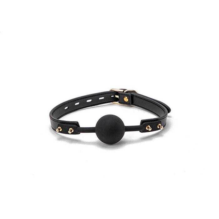 luxury 10 Piece Bondage Set