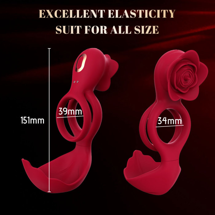 Hellofuntoys™ Waterproof Dual-Stimulation Cock Ring – 12 Vibration Modes for Enhanced Pleasure